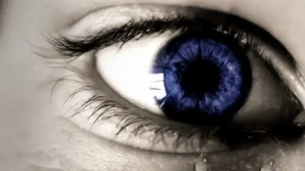 Учёные собираются испытать на людях бионический глаз, который может вернуть зрение слепым  | Русская весна