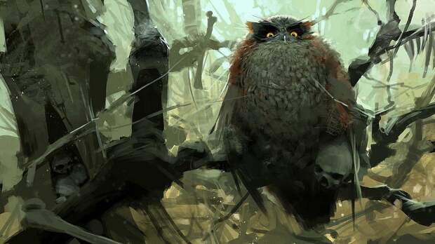 sergey-kolesov-owl.jpg sergey-kolesov-owl.jpg