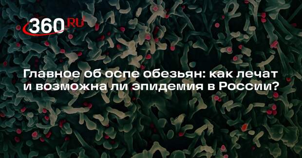 Вирусолог Волчков объяснил, возможна ли в России эпидемия оспы обезьян