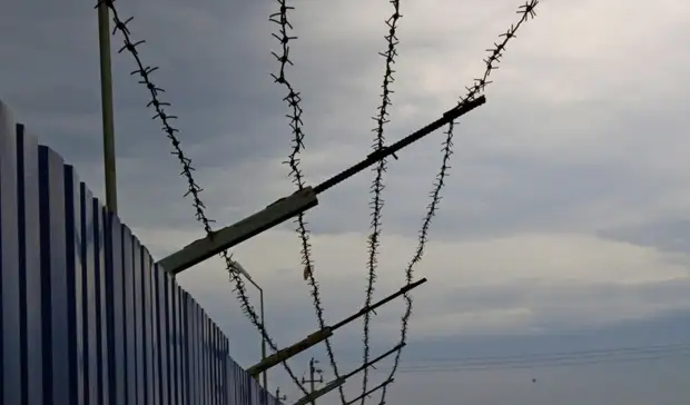 Питание в СИЗО Белгородской области обходится в два раза дороже, чем в школах