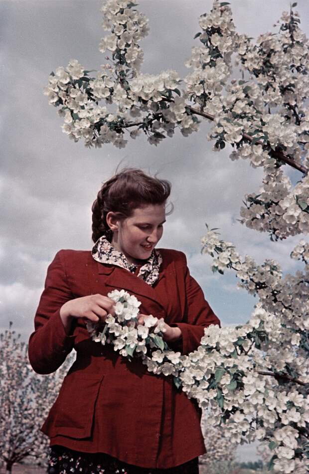 1950-е в цветных фотографиях 50-е года, фото, CCCP
