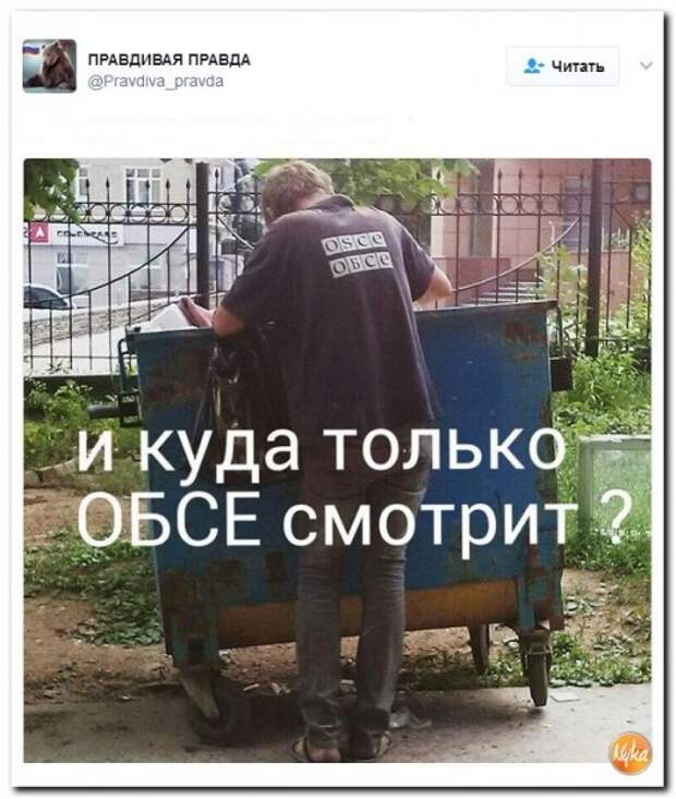 746646_600.jpg