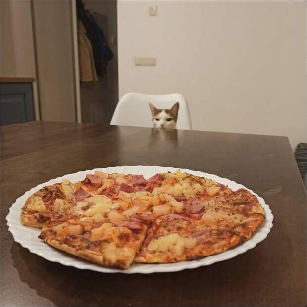 фотоприколы