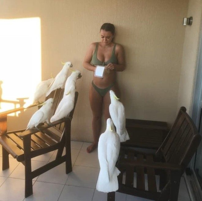 16 девушек, которые сами себя загнали в угол 16 девушек, которые сами себя загнали в угол