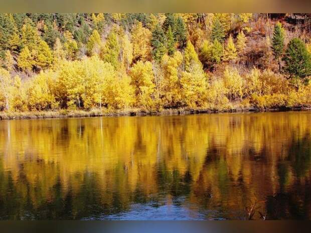 Прохладная погода ждет жителей Забайкалья на выходных
