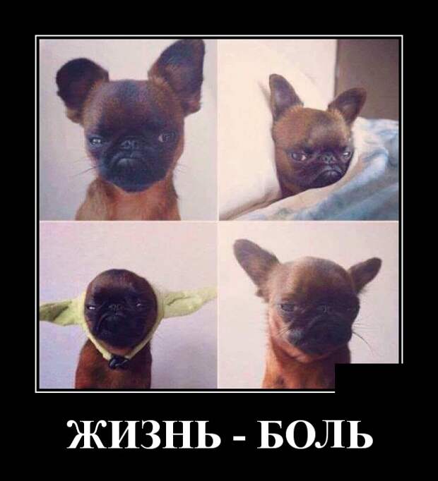 Демотиваторы (30 фото)
