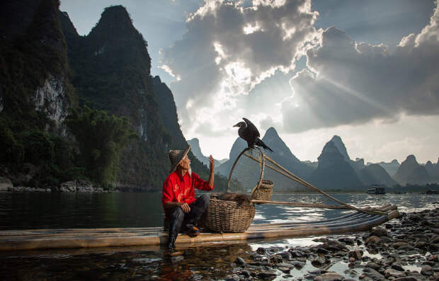 Рыбак и баклан рыбачат вместе в Гуйлине, Китай