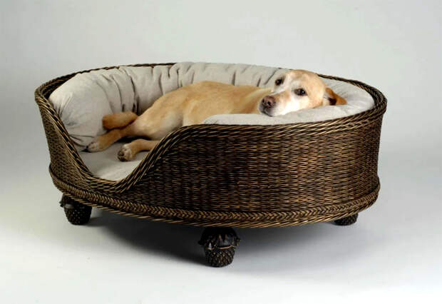 Собаки любят полный обзор, и такой диванчик как раз отвечает этому требованию