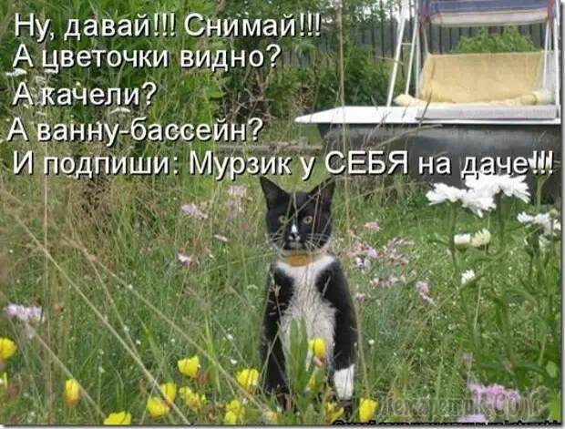 Анекдоты для отдыха