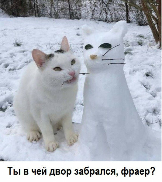 Юмор, мемы, картинки! Продолжаем наш весенний юмор!