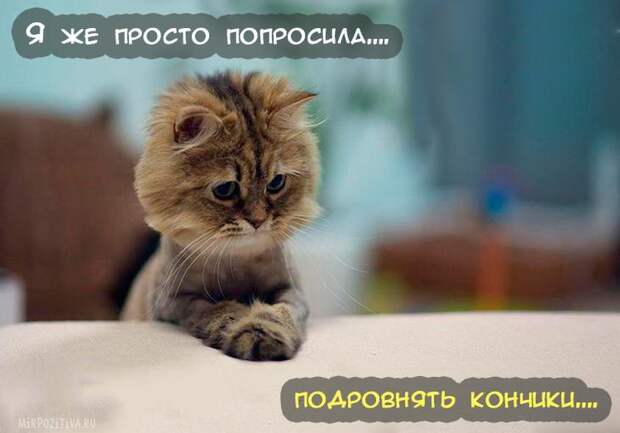 Завораживающее многообразие картинок животных