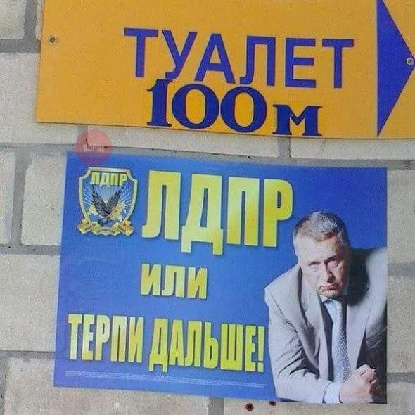 Картинки, юмор, приколы