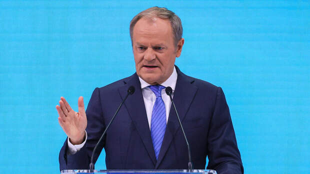 Fakt: депутаты из Польши обвинили Туска в переписывании истории страны