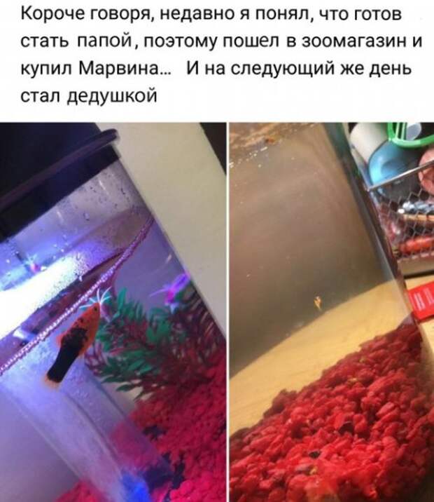 Недавно сказали