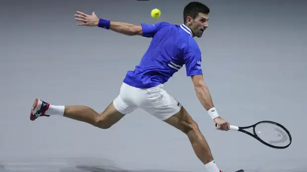 Источник: информация о повторном задержании Джоковича не подтверждается