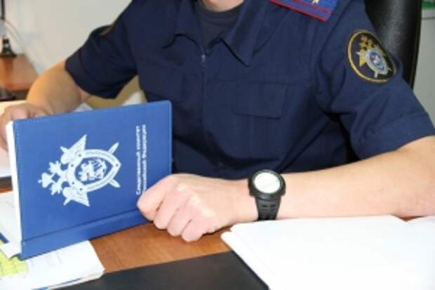 Председатель СК России затребовал доклад о расследовании обстоятельств нападения собак на детей в Московской области