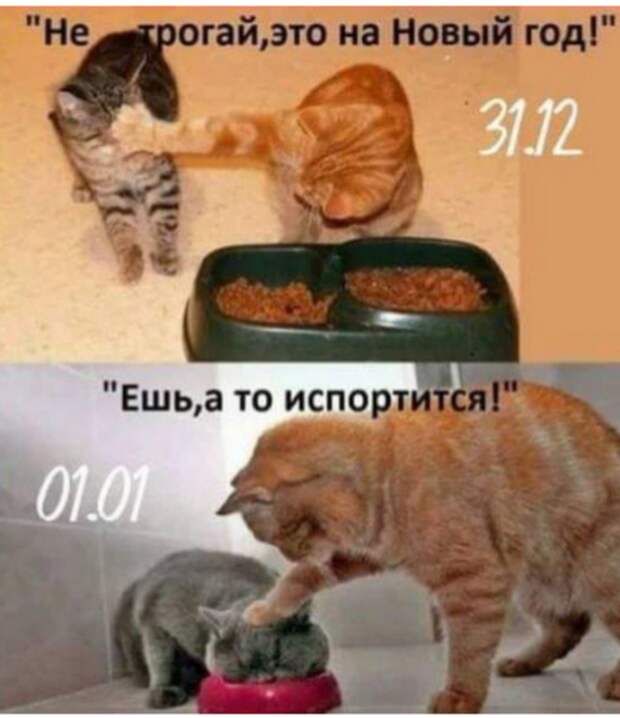 Скоро