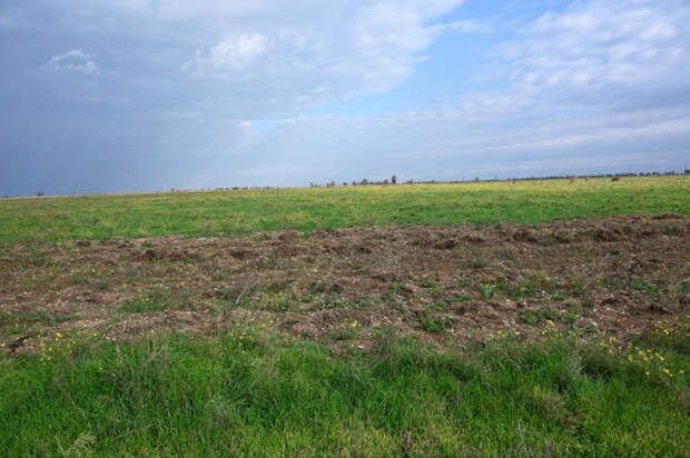 Время поджимает: у крымчан осталось меньше года, чтобы бесплатно оформить земельные участки в собственность