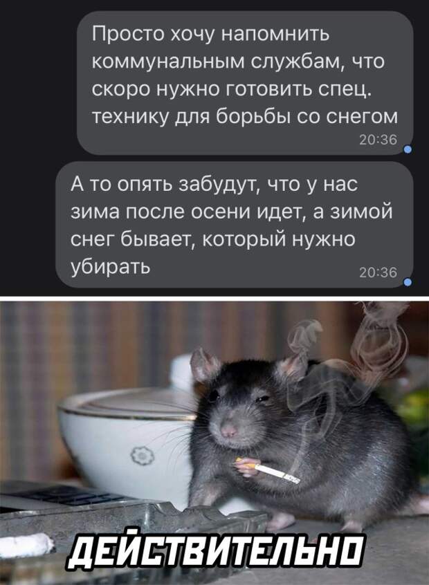 Смешные картинки 3 ноября 2021 года
