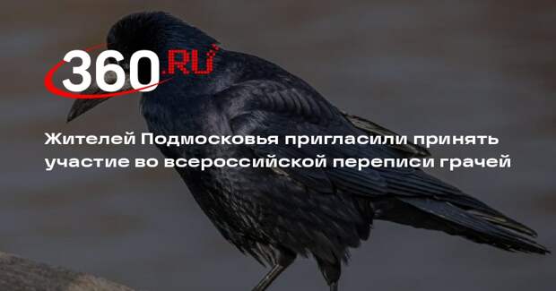 Жителей Подмосковья пригласили принять участие во всероссийской переписи грачей