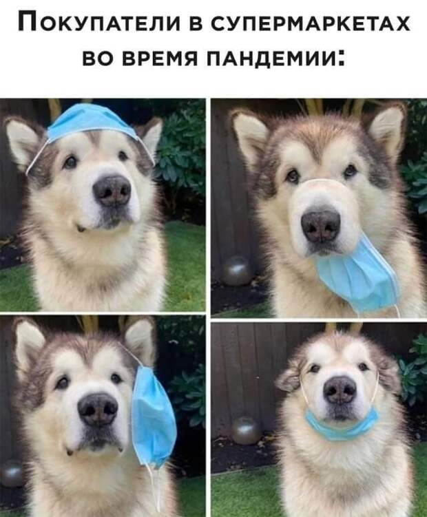 203850_7_trinixy_ru.jpg