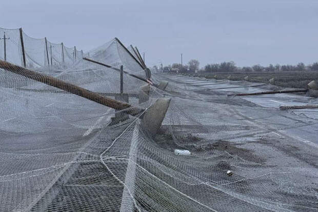 Страна.ua: участок антидронового тоннеля обвалился на трассе Николаев — Херсон