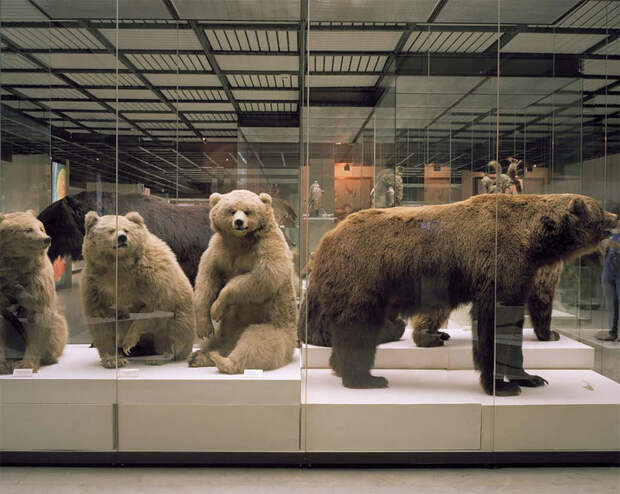 Потерянные во времени: фотограф отыскала музеи Москвы, которые давно никому не нужны