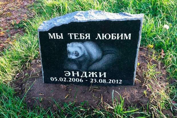 Кладбище домашних животных Кладбище домашних животных, грызуны, кошечки, попугайчики, собачки, фоторепортаж