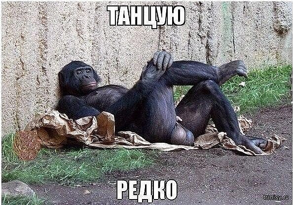 Пост хорошего настроения