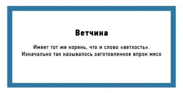 24 познавательных открытки об истории происхождения слов