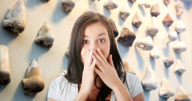 Как в датском музее появилась единственная мире коллекция античных носов