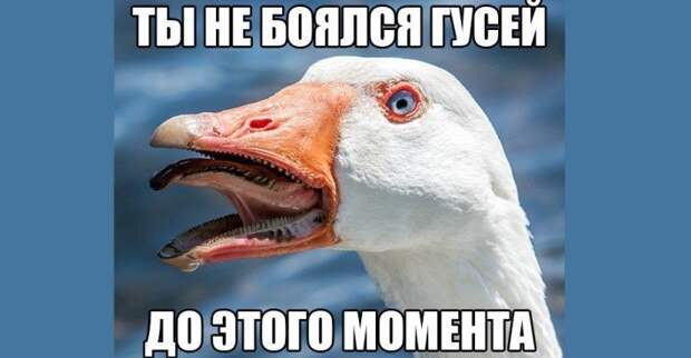 32 Фото Для Отличного Настроения На Всю Неделю! 32 Фото Для Отличного Настроения На Всю Неделю!