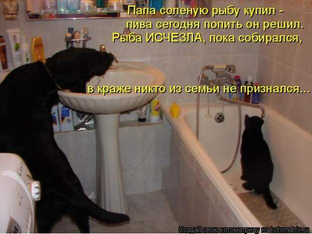 Мысли вслух :)