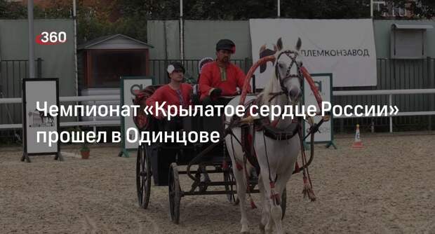 Чемпионат «Крылатое сердце России» прошел в Одинцове