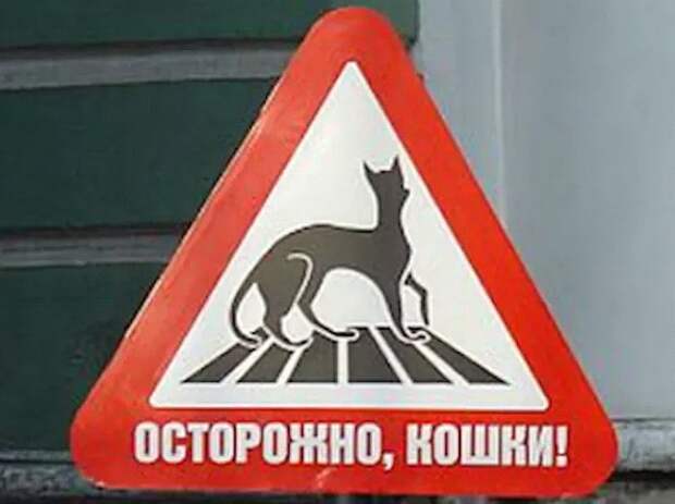 Топ-23 российских дорожных знаков и объявлений, которые не поймут иностранцы