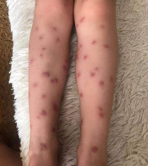 photo_2024-07-24_09-57-16 photo_2024-07-24_09-57-16