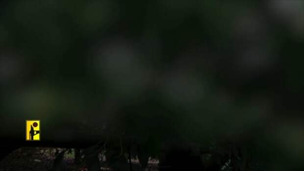 Ливан опубликовал кадры обстрела севера Палестины