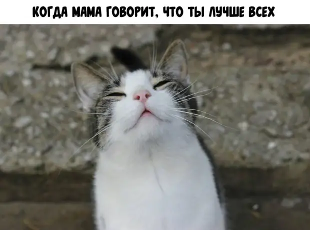 Есть что вспомнить, да нечего детям рассказать… чтобы, говорит, отвечает, легко, будете, мужика, только, мужик, баксов, сделать, поставить, шоколадку, пустыне, самолёт, пролетая, пустыней, терпит, крушение, Бенни, чудом