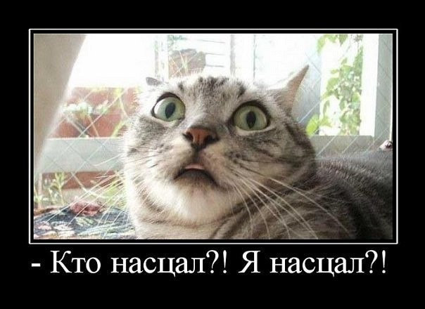 Ржачные демотиваторы для улыбки (12 фото)
