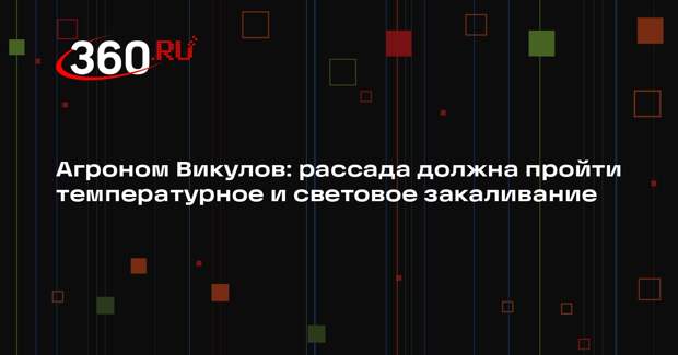 Агроном Викулов: рассада должна пройти температурное и световое закаливание