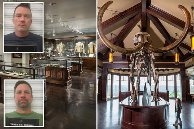 В США посетители музея разбили 10000-летний бивень мамонта стоимостью $200 тыс