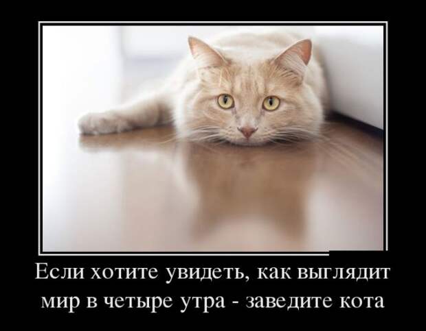 Демотиваторы (30 фото)