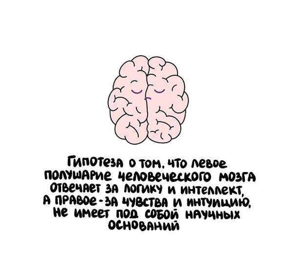 Короткие и интересные факты на все случаи жизни