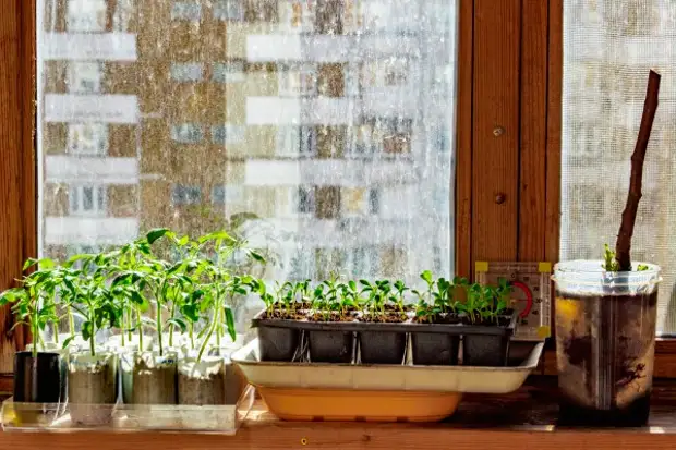 Далеко от Москвы