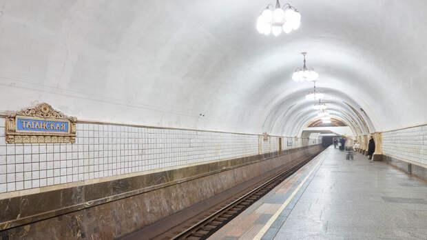 Пассажир спрыгнул с лестницы на крышу поезда в московском метро