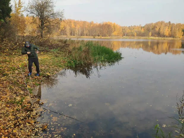 Московский суд запретил сайты по продаже лучных комплектов для рыбалки