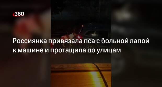 Красноярские водители остановили машину с привязанным к багажнику алабаем