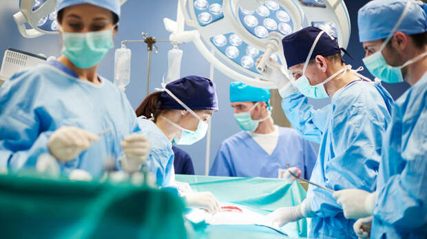 Каабак: генетически модифицированные свиньи могут решить кризис доноров органов