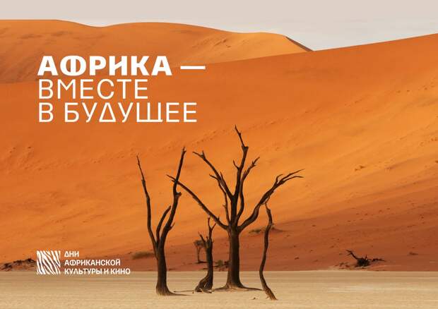 В Санкт-Петербурге летом пройдут «Дни африканской культуры и кино»