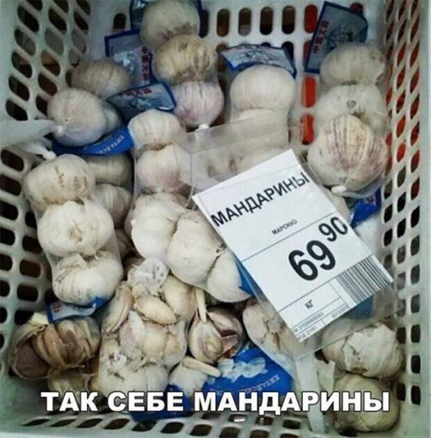 Новые прикольные фотомемы (23 шт)